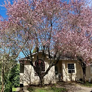  Guest house Red Robe Air